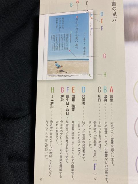 Co錾t 366 { book  {/G 