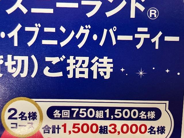 �f�B�Y�j�[���]�[�g�p�[�N�y�A�`�P�b�g/�ݐ؃p�[�e�B�[�y�A/3�� �� �`�P�b�g/������ 