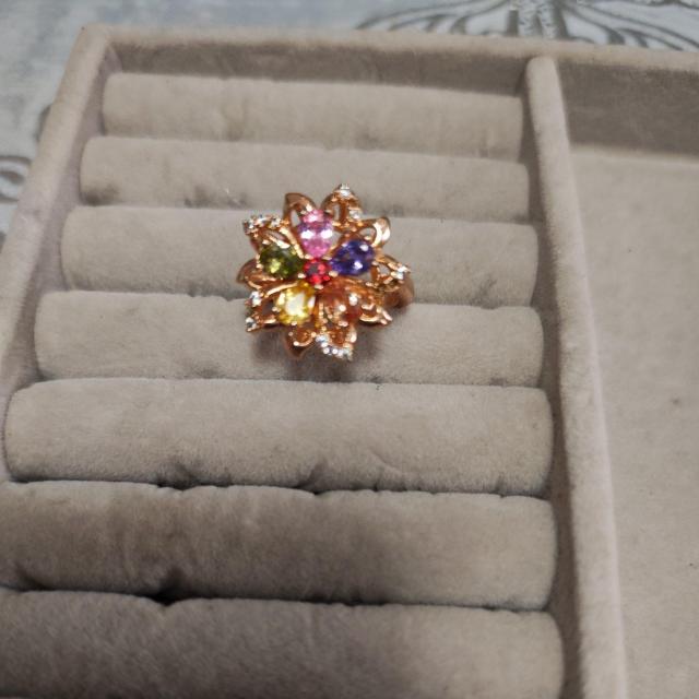 �w�� �� �����A�N�Z�T���[/���v�� 