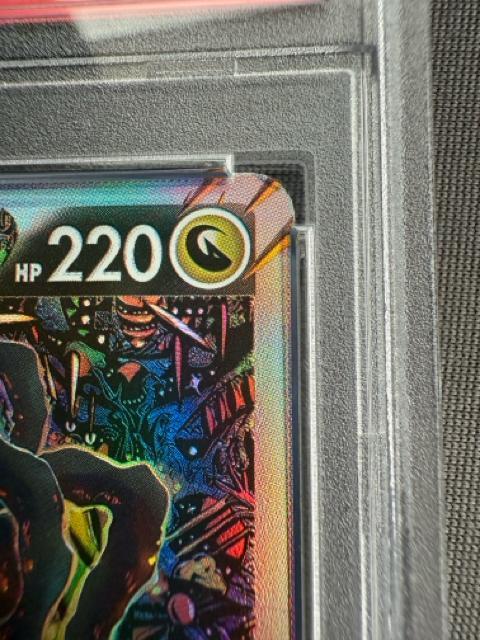 �|�P�����J�[�h�@�M���e�B�iv �� �g���[�f�B���O�J�[�h�� 