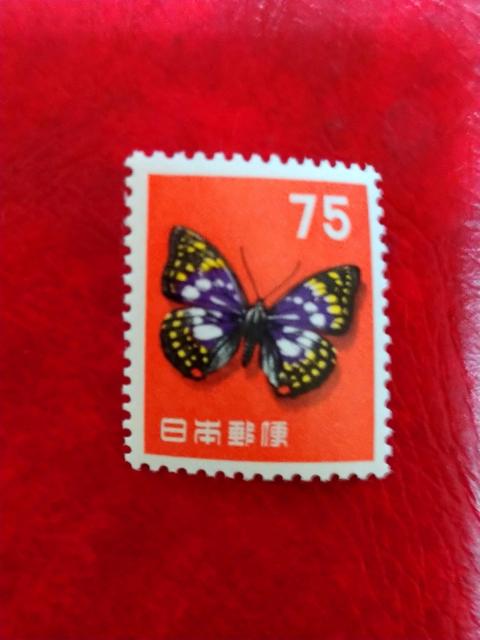 ��2�����A�����󕁒ʐ؎聖���g�p�i �� �z�r�[�� 