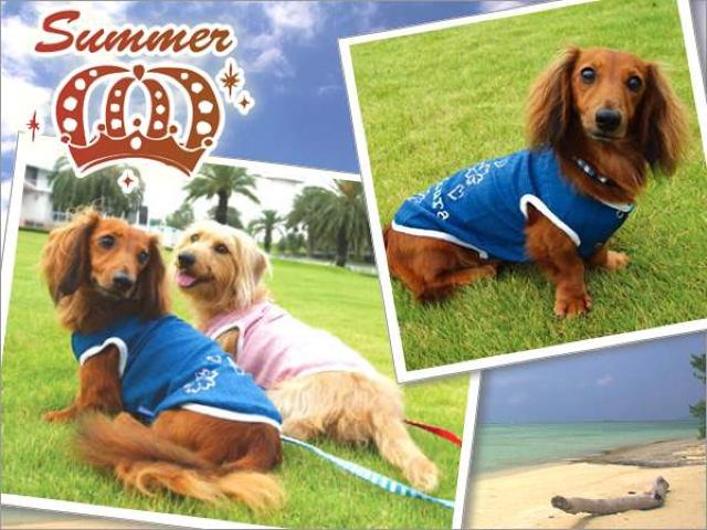 Simplers ^Ngbv SS u[Vi `2kg   ybg/|/| 