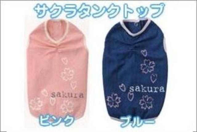 Simplers ^Ngbv SS u[Vi `2kg  ybg/|/| 