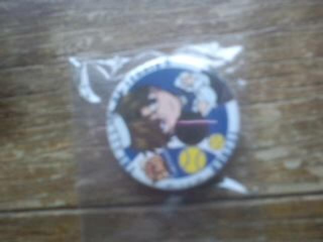 ejX̉ql ˍ ʃobW   Aj/R~bN/LN^[ 