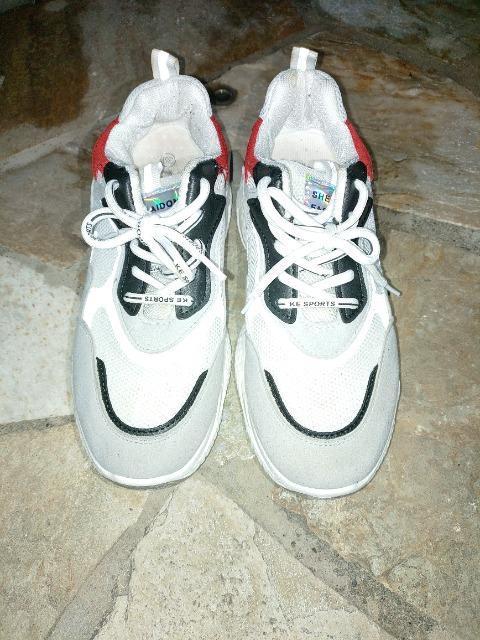 Xj[J[  SHELAIDON  FASHIONFA   t@bV 