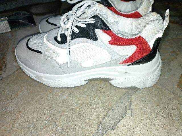 Xj[J[  SHELAIDON  FASHIONFA  t@bV 