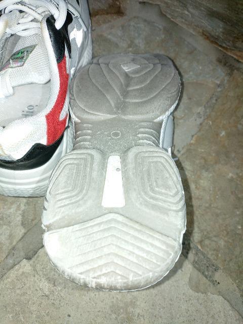 Xj[J[  SHELAIDON  FASHIONFA  t@bV 