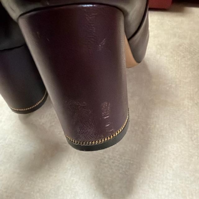 �t�F���K��  �n�[�t�u�[�c �� �u�����h�� 