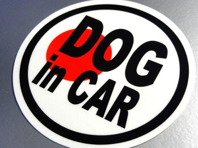 DOG in CAR{XebJ[  Ă܂̊  /oCN