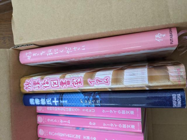 恋愛小説 ケータイ小説 オマケ付 まとめ売り 31冊 < 本/雑誌  恋愛小説 ケータイ小説 オマケ付 まとめ売り 31冊 < 本/雑誌の