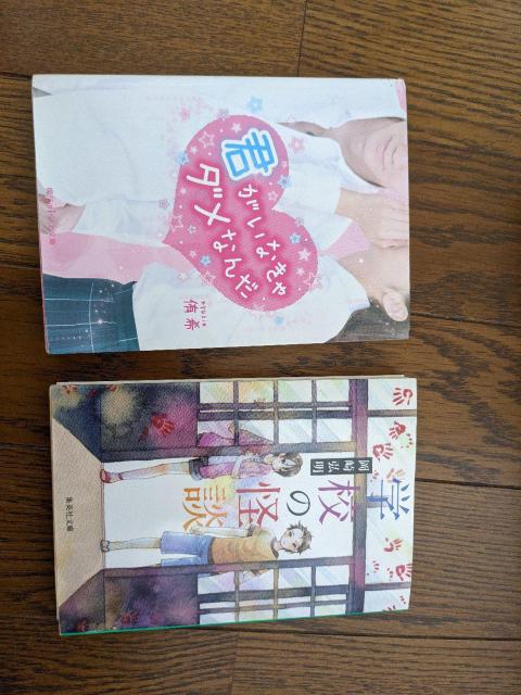 恋愛小説 ケータイ小説 オマケ付 まとめ売り 31冊 < 本/雑誌  恋愛小説 ケータイ小説 オマケ付 まとめ売り 31冊 < 本/雑誌の