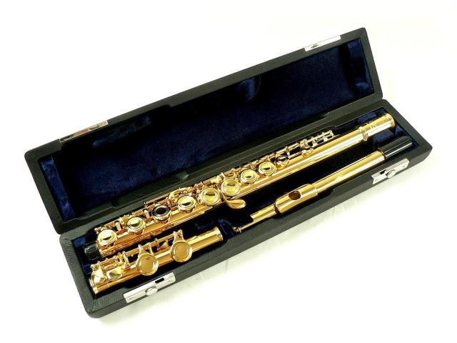 Fairyフルート ◆24K金メッキ・16キー・C管◆ 新品 < ホビー Fairyフルート ◆24K金メッキ・16キー・C管◆ 新品 < ホビーの