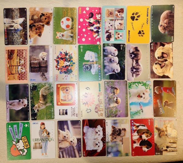 使用済テレカ★テレホンカード★ワンちゃん★犬★Dog★わんこ★インテリア★マニア★テレホンカード使用済★テレカ使用済★送料無料 < ホビー 使用済テレカ★テレホンカード★ワンちゃん★犬★Dog★わんこ★インテリア★マニア★テレホンカード使用済★テレカ使用済★送料無料 < ホビーの