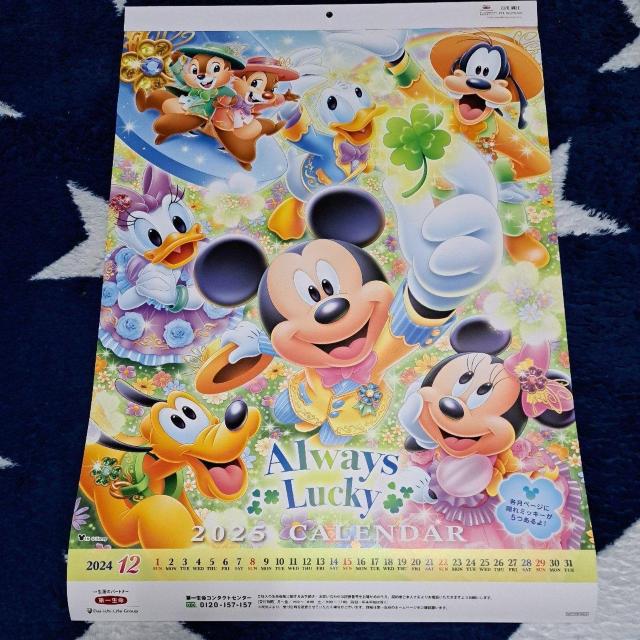 2025NfBYj[J_[(ꐶ񔄕i) 