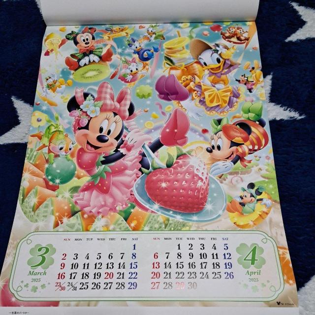 2025NfBYj[J_[(ꐶ񔄕i)