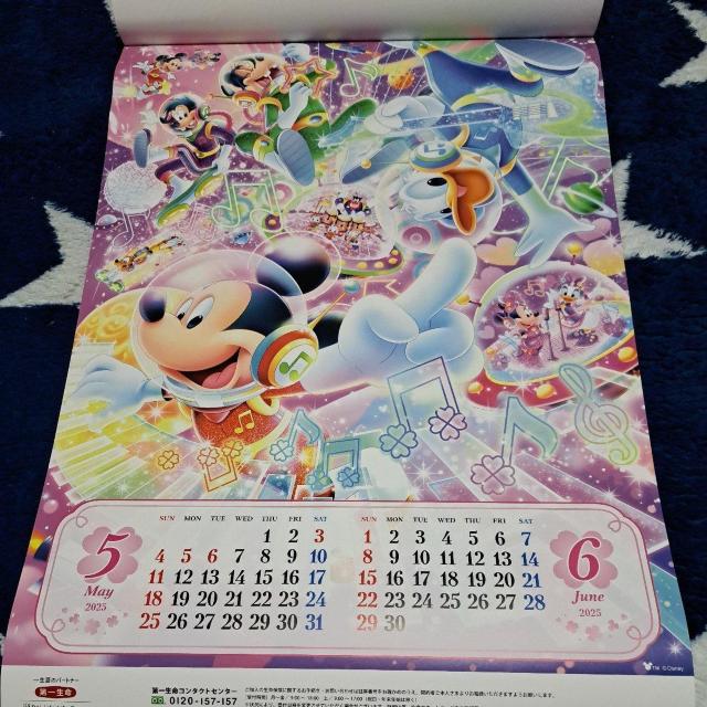 2025NfBYj[J_[(ꐶ񔄕i)