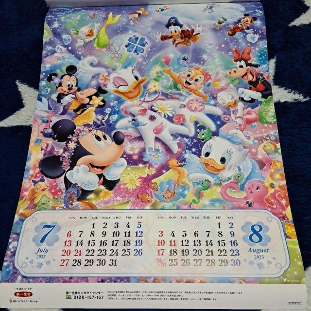 2025NfBYj[J_[(ꐶ񔄕i)