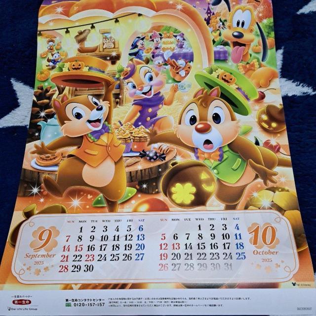 2025NfBYj[J_[(ꐶ񔄕i)