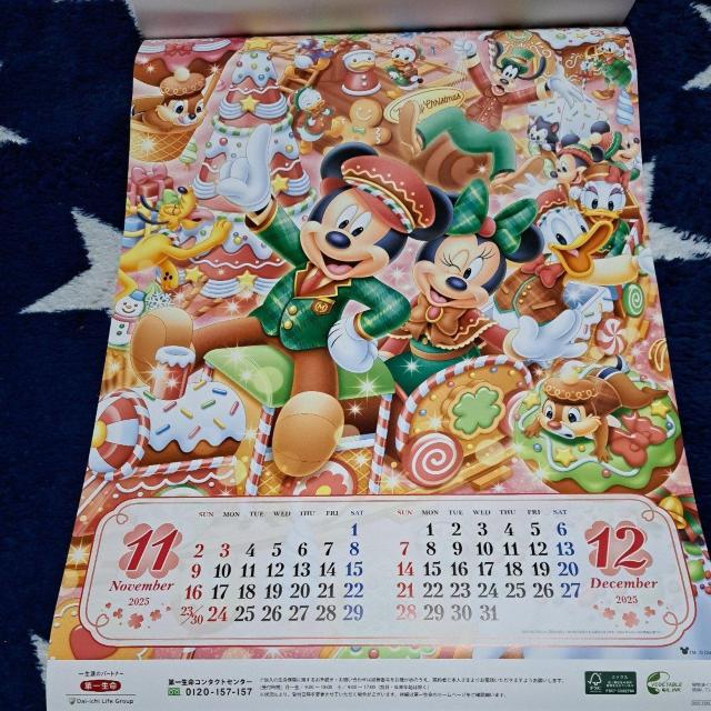 2025NfBYj[J_[(ꐶ񔄕i)