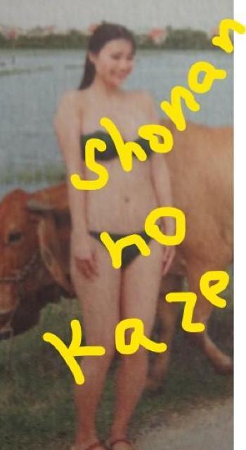 爆乳アイドル「豊島心桜」さんの未開封DVDAです。 < タレントグッズ  爆乳アイドル「豊島心桜」さんの未開封DVDAです。  < タレントグッズの