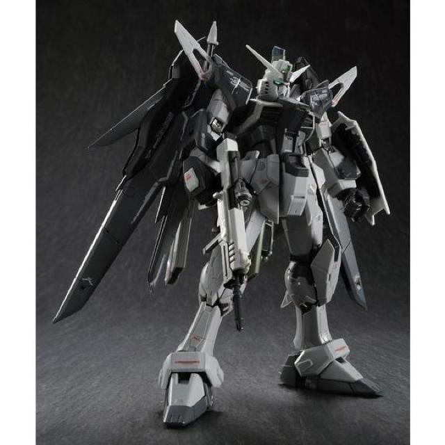 限定 RG 1/144 デスティニーガンダム ディアクティブモード < ホビー  限定 RG 1/144 デスティニーガンダム ディアクティブモード  < ホビーの