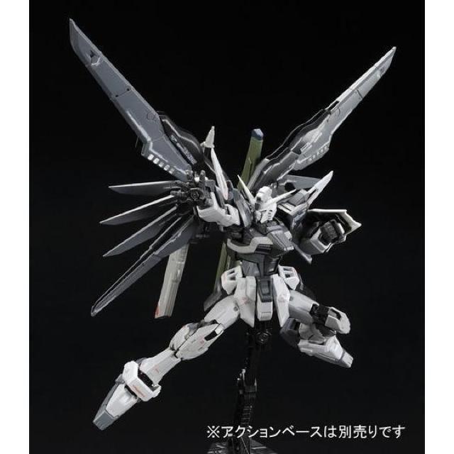 限定 RG 1/144 デスティニーガンダム ディアクティブモード < ホビー  限定 RG 1/144 デスティニーガンダム ディアクティブモード < ホビーの