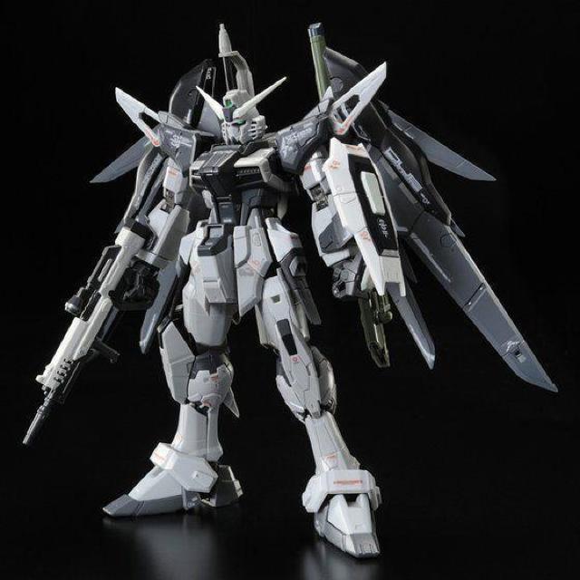 限定 RG 1/144 デスティニーガンダム ディアクティブモード < ホビー  限定 RG 1/144 デスティニーガンダム ディアクティブモード < ホビーの