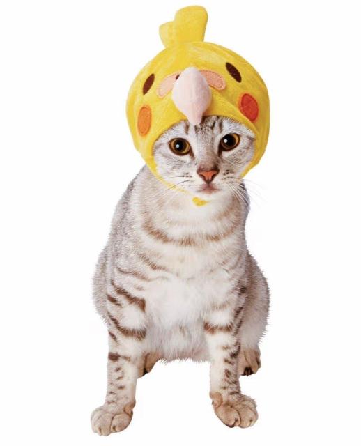 猫用★ネコちゃん用★ほっかむり★変身グッズ★オカメインコ★ハロウィン★可愛い★ペット用仮装グッズ★ペット★新品未使用★送料無料 < ペット/手芸/園芸  猫用★ネコちゃん用★ほっかむり★変身グッズ★オカメインコ★ハロウィン★可愛い★ペット用仮装グッズ★ペット★新品未使用★送料無料 < ペット/手芸/園芸の