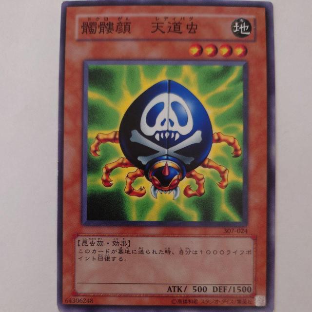 遊戯王 髑髏顔天道虫 ノーマル < トレーディングカード 遊戯王 髑髏顔天道虫 ノーマル < トレーディングカードの