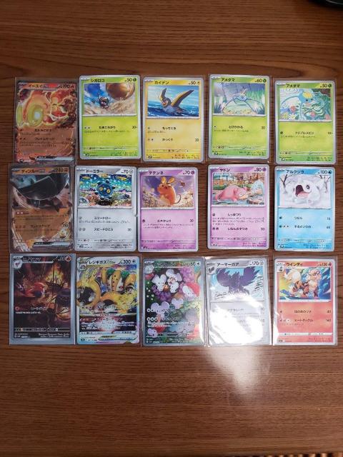 |PJ[h܂Ƃߔ 15   g[fBOJ[h 