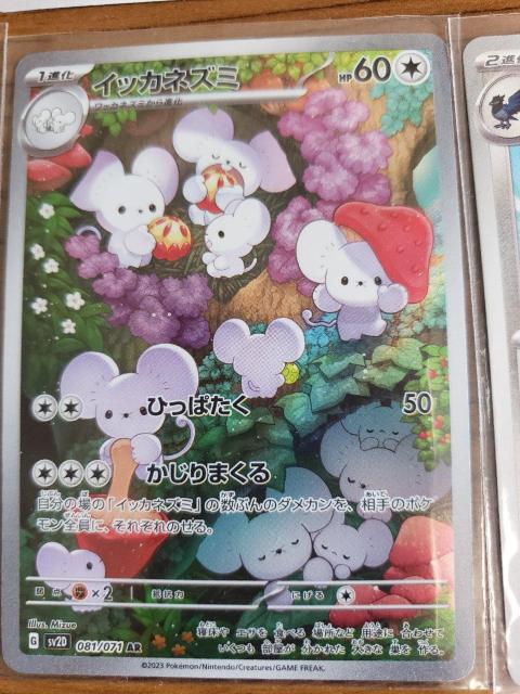 |PJ[h܂Ƃߔ 15  g[fBOJ[h 