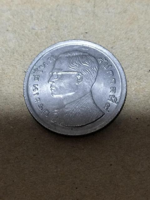 �O���R�C��19  �� �z�r�[�� 