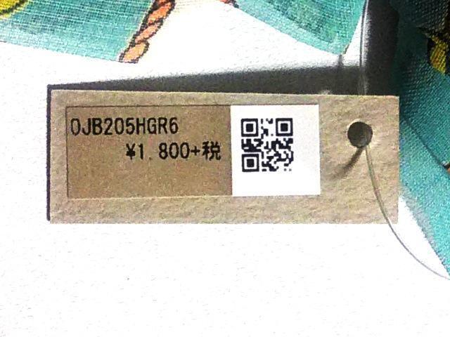 wANbv KAZA 0JB205HGR6  t@bV 