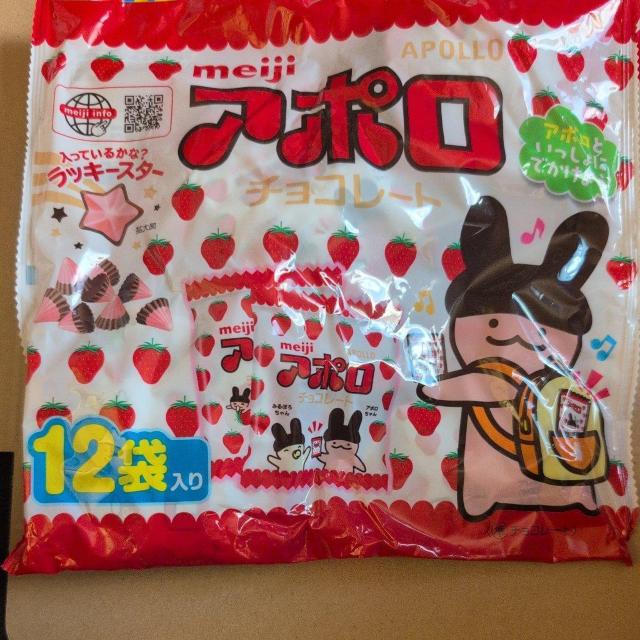 ʉi A|`R[g t@~[pbN2  O/hN 