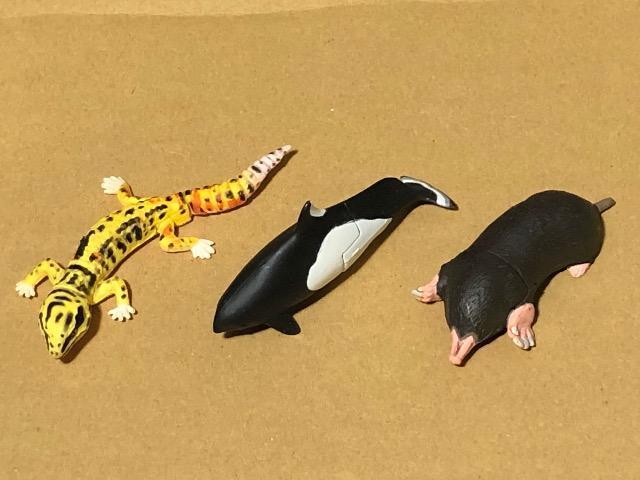 Furuta チョコエッグ ペット動物コレクション < ホビー Furuta チョコエッグ ペット動物コレクション < ホビーの