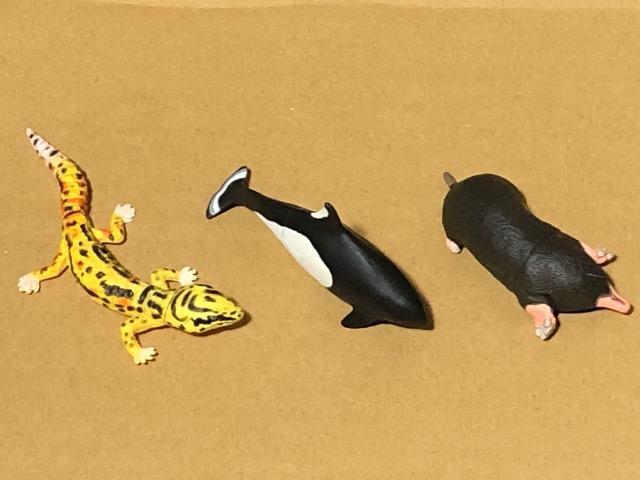 Furuta チョコエッグ ペット動物コレクション < ホビー Furuta チョコエッグ ペット動物コレクション < ホビーの