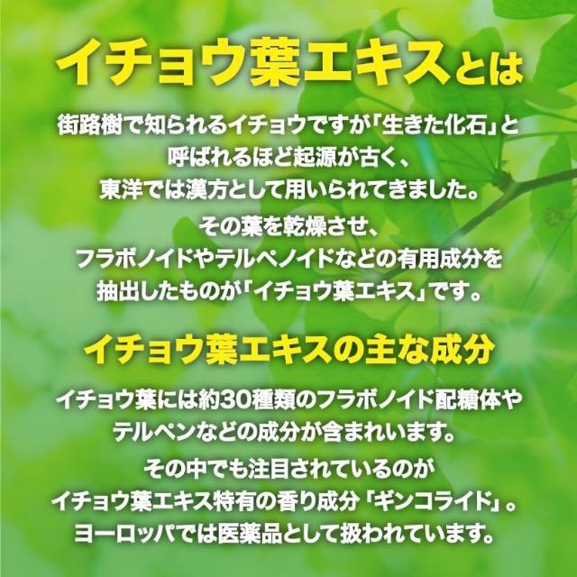 イチョウ葉エキス サプリメント 約1ヵ月分 DHA EPA配合 健康食品 < グルメ/ドリンク  イチョウ葉エキス サプリメント 約1ヵ月分 DHA EPA配合 健康食品 < グルメ/ドリンクの