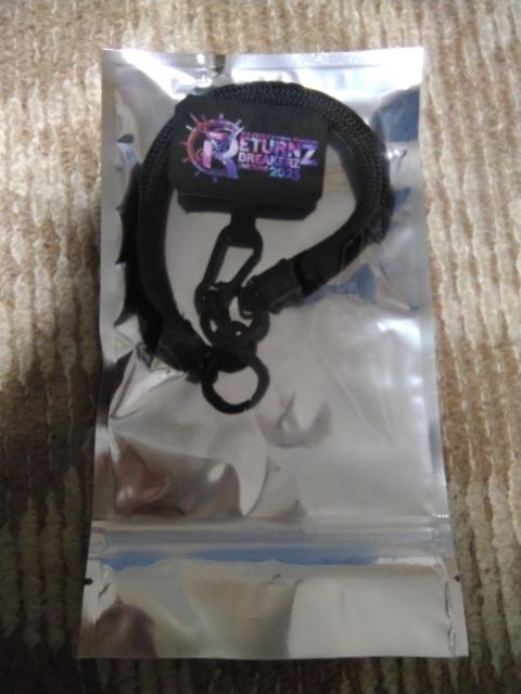 BREAKERZ スマホストラップ RETURNZ 2025 < タレントグッズ BREAKERZ スマホストラップ RETURNZ 2025 < タレントグッズの