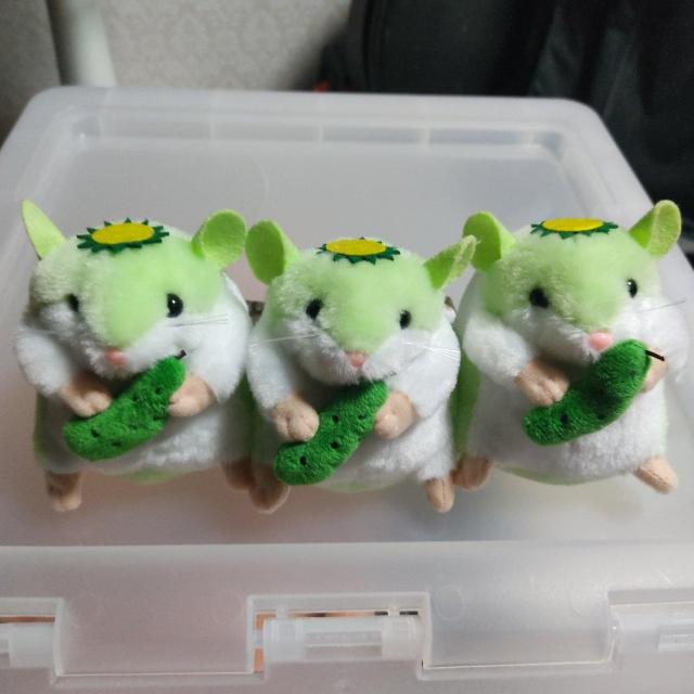 限定品 岩手県 遠野市 伝承園 はむかっぱ ×3 < おもちゃ  限定品 岩手県 遠野市 伝承園 はむかっぱ ×3  < おもちゃの