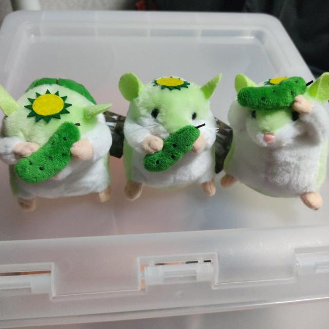 限定品 岩手県 遠野市 伝承園 はむかっぱ ×3 < おもちゃ  限定品 岩手県 遠野市 伝承園 はむかっぱ ×3 < おもちゃの