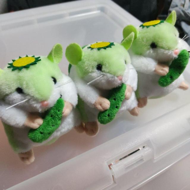限定品 岩手県 遠野市 伝承園 はむかっぱ ×3 < おもちゃ  限定品 岩手県 遠野市 伝承園 はむかっぱ ×3 < おもちゃの