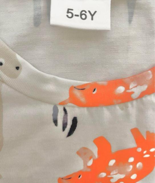 新品未使用★恐竜柄★白Tシャツ★5-6M(104-116cm) < キッズ/ベビー  新品未使用★恐竜柄★白Tシャツ★5-6M(104-116cm) < キッズ/ベビーの