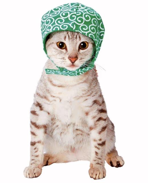 猫用★ネコちゃん用★ほっかむり★変身グッズ★泥棒★ドロボー★ハロウィン★かわいい★ペット用仮装グッズ★ペット★新品未使用★送料無料 < ペット/手芸/園芸  猫用★ネコちゃん用★ほっかむり★変身グッズ★泥棒★ドロボー★ハロウィン★かわいい★ペット用仮装グッズ★ペット★新品未使用★送料無料 < ペット/手芸/園芸の