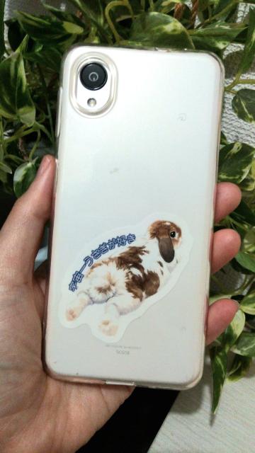 【耐水】愛を叫ぶ!「宇宙一うさぎが好き」ごろん寝ロップイヤーのステッカー(スマホ/うさぎのお尻/推し活/シール) < インテリア/ライフ 【耐水】愛を叫ぶ!「宇宙一うさぎが好き」ごろん寝ロップイヤーのステッカー(スマホ/うさぎのお尻/推し活/シール) < インテリア/ライフの