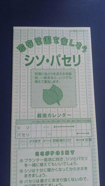 家庭菜園、シソ・パセリ栽培方法冊子 しそ ぱせり < ペット/手芸/園芸 家庭菜園、シソ・パセリ栽培方法冊子 しそ ぱせり < ペット/手芸/園芸の