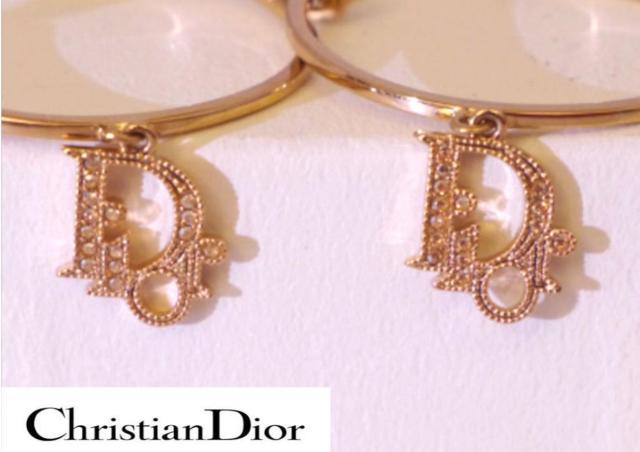 iChristian Dior fBI[ CD`[t CXg[ t[v O sAX CD`[t̒ԃf