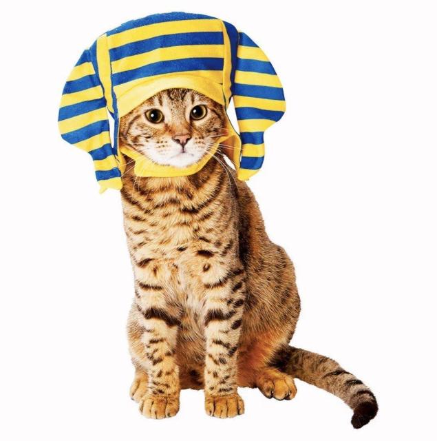 猫用★ネコちゃん用★ほっかむり★変身グッズ★ファラオ★ハロウィン★可愛い★王様★ペット用仮装グッズ★ペット★新品未使用★送料無料 < ペット/手芸/園芸  猫用★ネコちゃん用★ほっかむり★変身グッズ★ファラオ★ハロウィン★可愛い★王様★ペット用仮装グッズ★ペット★新品未使用★送料無料 < ペット/手芸/園芸の
