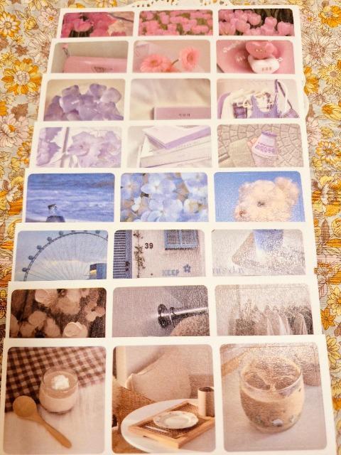 PhotoV[V[g83  CeA/Ct 