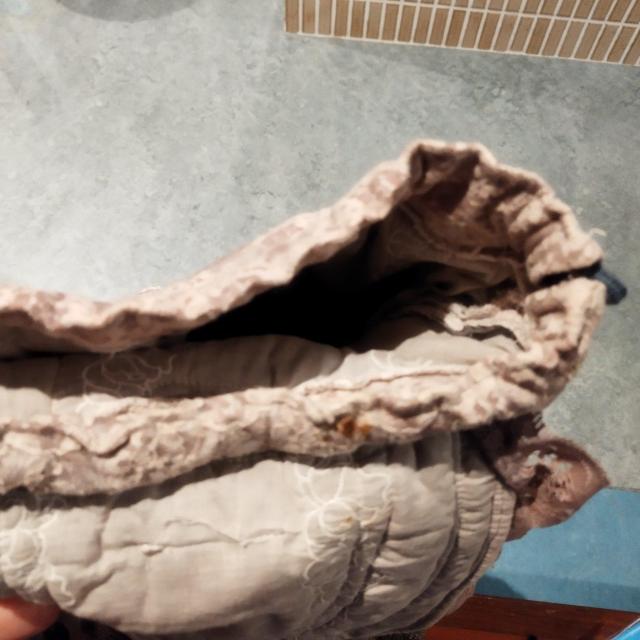 ���[�X�t�����t���O���[�����b�N �� �����t�@�b�V������ 