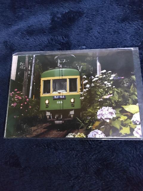 江ノ電 355 & 新江ノ島水族館  ポストカード < ホビー  江ノ電 355 & 新江ノ島水族館  ポストカード  < ホビーの